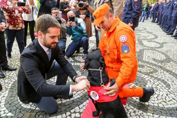 Governador entregou medalhas para quatro cães de salvamento dos bombeiros.