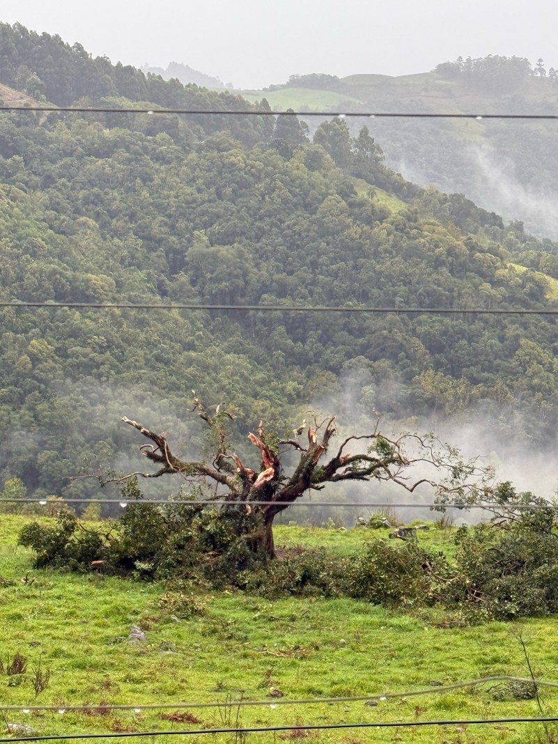 Fenômeno ocorreu na tarde da sexta-feira (9/5)